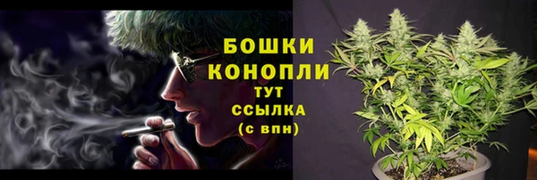mix Кедровый