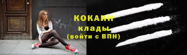 стаф Кизел