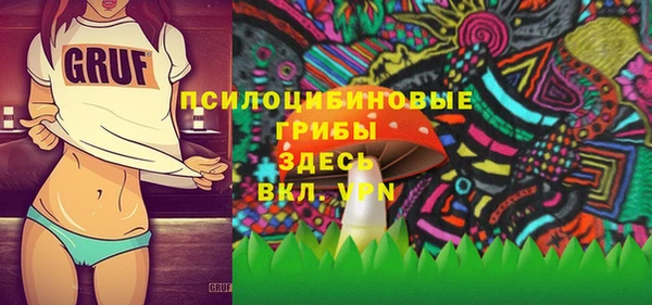Альфа ПВП Дмитров