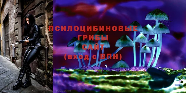 герыч Елабуга