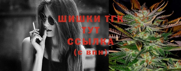 дурь Кемь