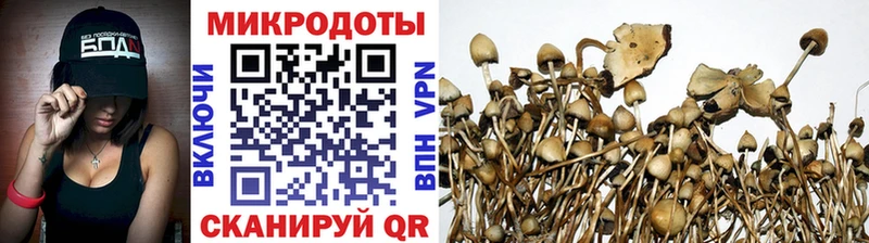 наркошоп  Пересвет  Галлюциногенные грибы MAGIC MUSHROOMS 